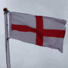 George flag anim