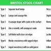 Bristol stool chart