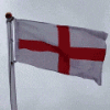 George flag anim
