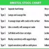 Bristol stool chart