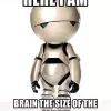 brain