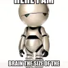 brain